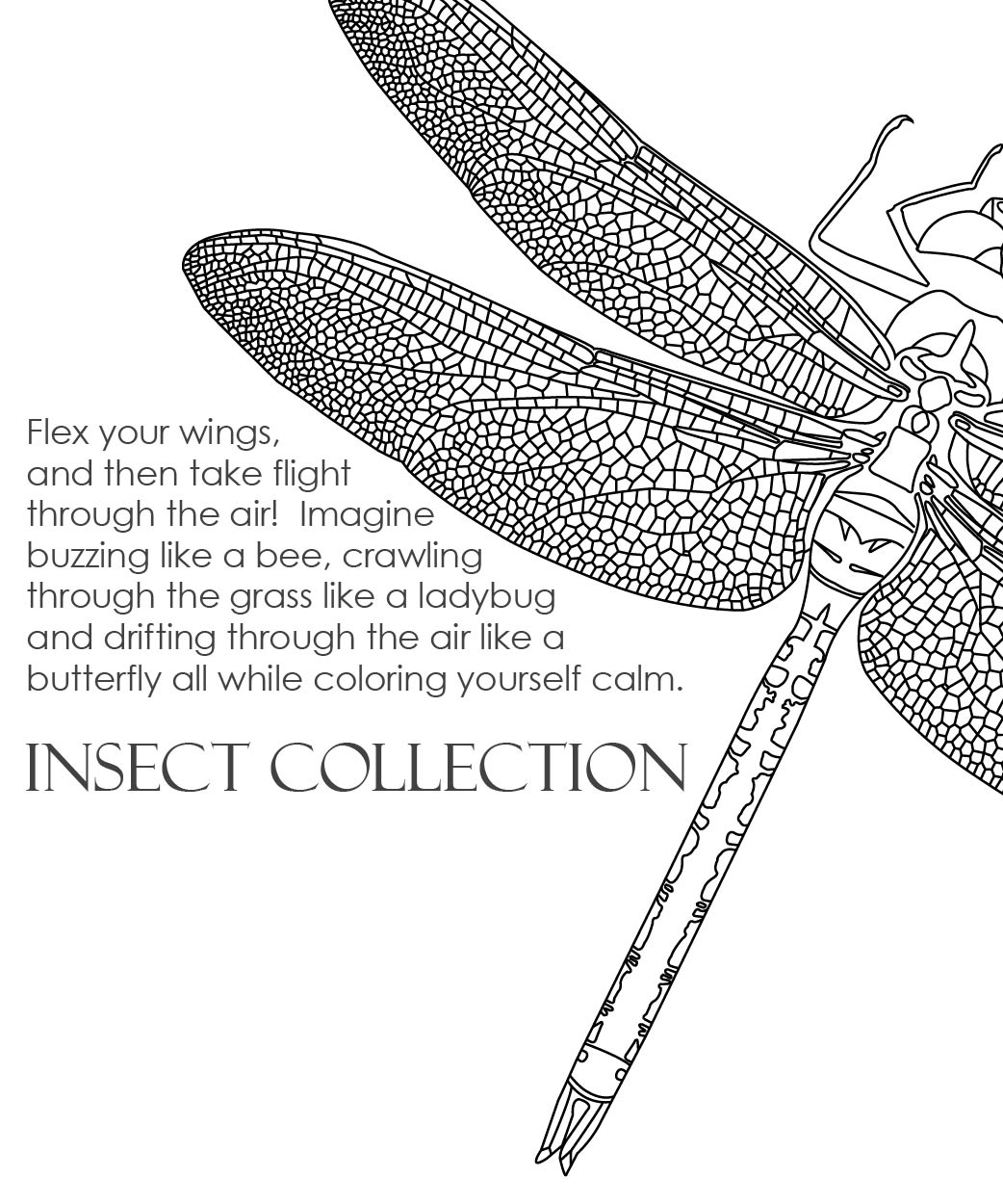 Insect Collection