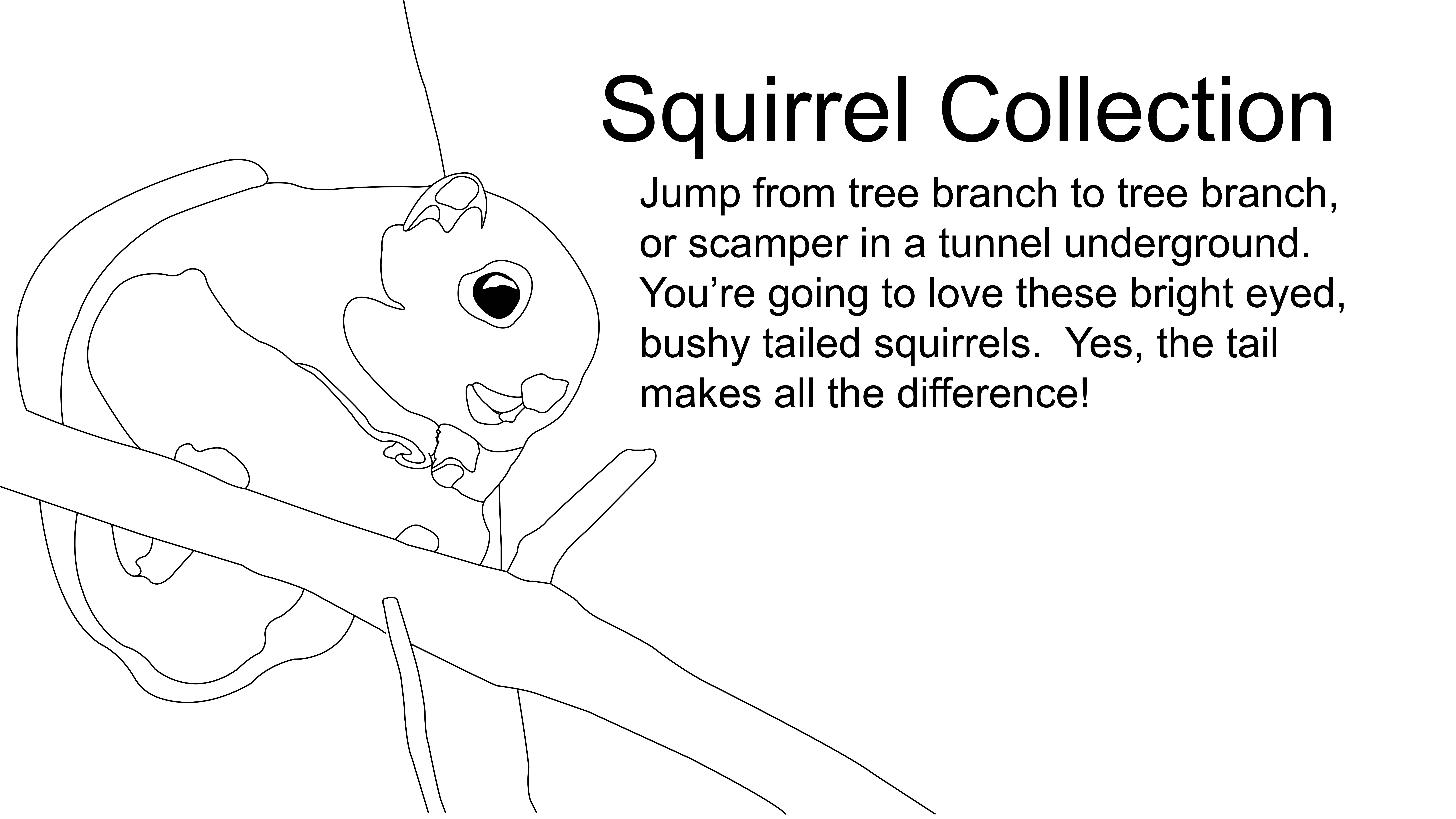 Squirrel Collection
